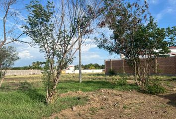 Lote de Terreno en  Calle Álamo Afgano, Culiacán, Sinaloa, 80301, Mex