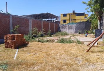 Terreno en  Eucaliptos, Piura, Perú