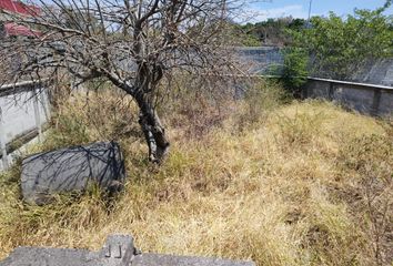 Lote de Terreno en  Cocoyoc, Morelos, México