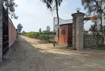 Terreno en  Av. Casuarinas 127, Pachacamac, Perú