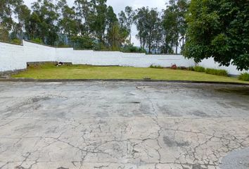 Terreno Comercial en  San Juan De Conocoto, Leonidas Plaza G., Quito, Ecuador