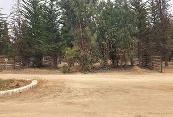 Parcela en  Bosques De Quirilluca, El Alto, Puchuncaví, Chile