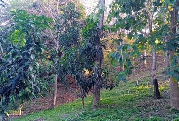 Villa-Quinta en  Sierra Nevada De Santa Marta, Santa Marta, Magdalena, Colombia