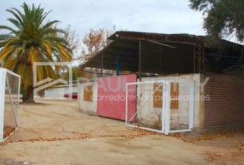 Bodega en  Las Parras, San Esteban, Chile