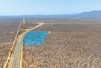 Lote de Terreno en  Carretera San Pedro - Cabo San Lucas, La Paz, Baja California Sur, Mex