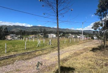 Terreno Comercial en  Pintag, Ecuador