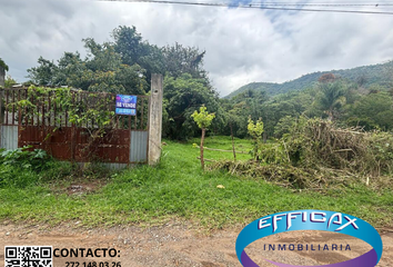 Lote de Terreno en  Huiloapan De Cuauhtémoc, Veracruz