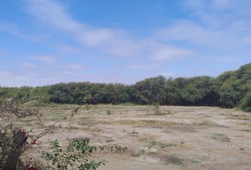 Terreno en  Catacaos, Piura, Perú