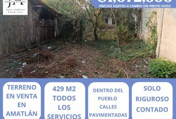 Lote de Terreno en  Paraje Nuevo Centro, Amatlán De Los Reyes