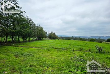 Lote de Terreno en  43508, Huasca De Ocampo, Hidalgo, Mex