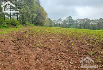 Lote de Terreno en  Huasca De Ocampo, Hidalgo