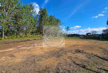 Lote de Terreno en  San Vicente, Antioquia