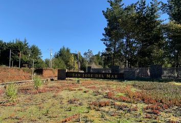 Parcela en  Tomé, Concepción