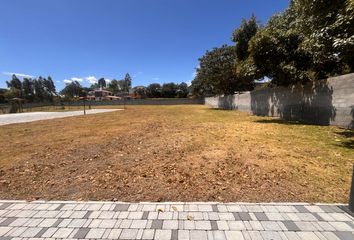 Terreno Comercial en  Puembo, 24 De Mayo, Puembo, Ecuador