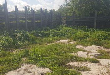 Lote de Terreno en  Calle 3, Tixcacalcupul, Yucatán, 97762, Mex