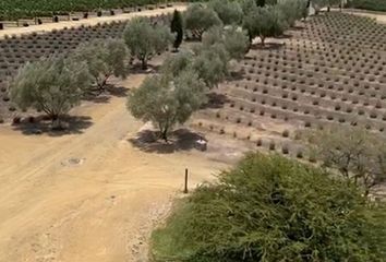 Lote de Terreno en  La Rinconada, Comonfort, Guanajuato, México