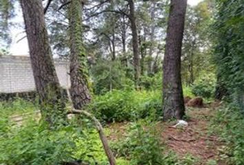 Lote de Terreno en  Del Bosque, Cuernavaca, Morelos, México