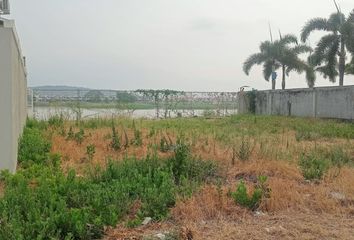 Terreno Comercial en  Urbanización Bali, Ecuador