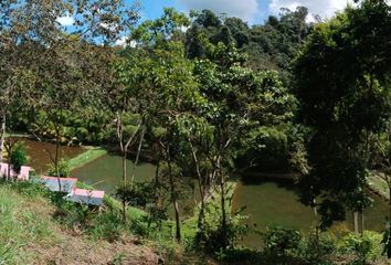 Terreno en  Tarapoto, San Martin