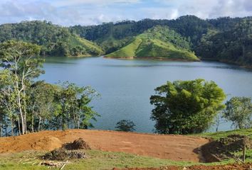 Lote de Terreno en  San Roque, Antioquia, Colombia