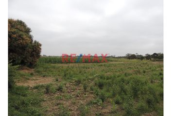 Terreno en  H58p+76 Pacora, Perú