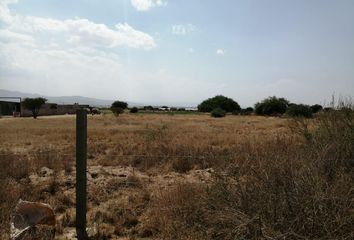 Lote de Terreno en  San Nicolás De Los Jassos, San Luis Potosí, México