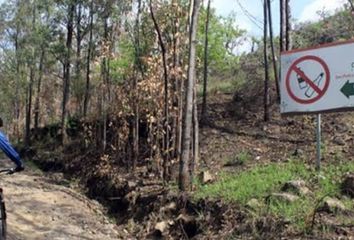 Lote de Terreno en  Zerezotla, Avenida Miguel Hidalgo, Cholula De Rivadavia, Puebla, México