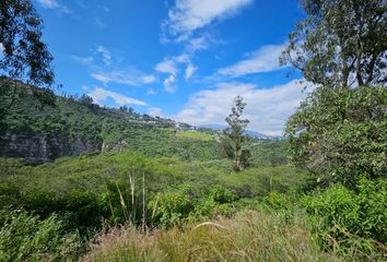 Terreno Comercial en  Santa Rosa De Nayón, Avenida De Los Reyes, Quito, Ecuador