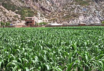 Terreno en  Yucay, Urubamba, Cusco, Per