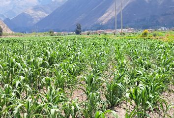 Terreno en  Yucay, Urubamba, Cusco, Per