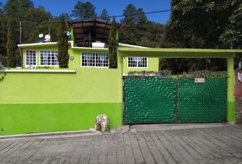 Casa en  Carretera La Puerta-sultepec, Texcaltitlán, Estado De México, México