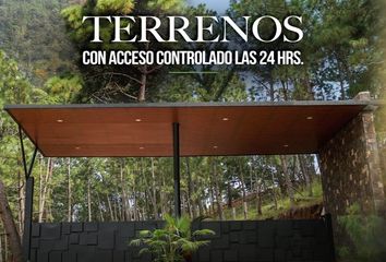 Lote de Terreno en  Colonia Mazamitla, Mazamitla