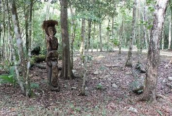 Lote de Terreno en  Tulum, Quintana Roo, México