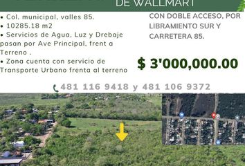 Lote de Terreno en  Municipal Valles 85, Ciudad Valles, San Luis Potosí, México