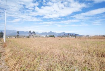 Terreno Comercial en  Malchinguí, Pedro Moncayo