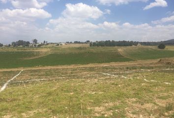 Lote de Terreno en  San Cristobal Tecolit, San Miguel Zinacantepec, Estado De México, México