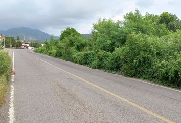 Lote de Terreno en  Calle Nacional Zihuatanejo - Lázaro Cárdenas, Ixtapa, Zihuatanejo De Azueta, Guerrero, Mex