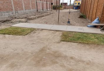 Terreno en  Asociación Las Palmeras De Carabayllo, Carabayllo, Lima, Per