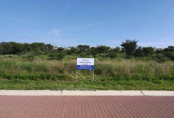 Lote de Terreno en  Calle Maderas N, Lagos De Moreno, Jalisco, 47539, Mex