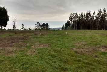 Parcela en  Acceso A Curaquilla, Miramar, Arauco, Biobío, Chile