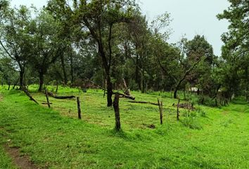 Lote de Terreno en  Fraccionamiento Guayacahuala, Huitzilac, Morelos