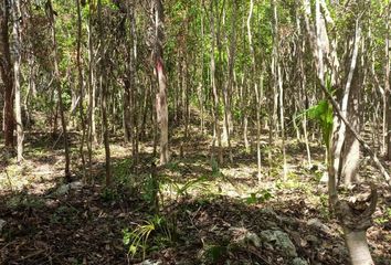 Lote de Terreno en  La Veleta, Tulum