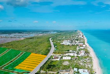 Lote de Terreno en  Playa San Benito, Yucatán, México