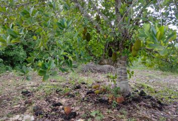 Lote de Terreno en  Oxkutzcab, Yucatán