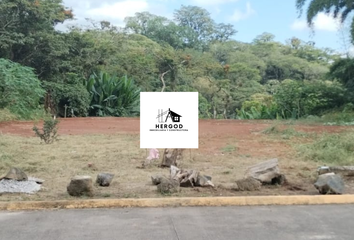 Lote de Terreno en  Centenario, Coatepec, Coatepec, Veracruz