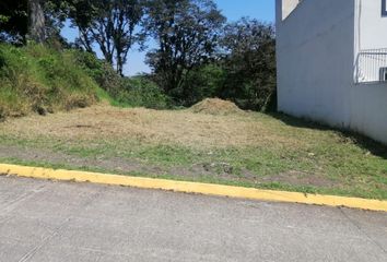 Lote de Terreno en  Coatepec Centro, Coatepec, Veracruz