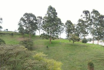 Lote de Terreno en  El Carmen De Viboral, Antioquia