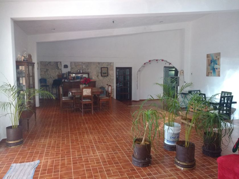 venta Rancho en Chocholá, Yucatán (01082024)- icasas.mx