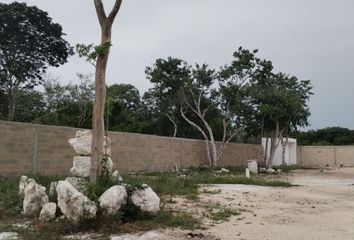 Lote de Terreno en  97334, San Ignacio, Yucatán, Mex