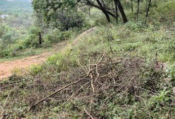 Lote de Terreno en  Carmen, Nuevo León